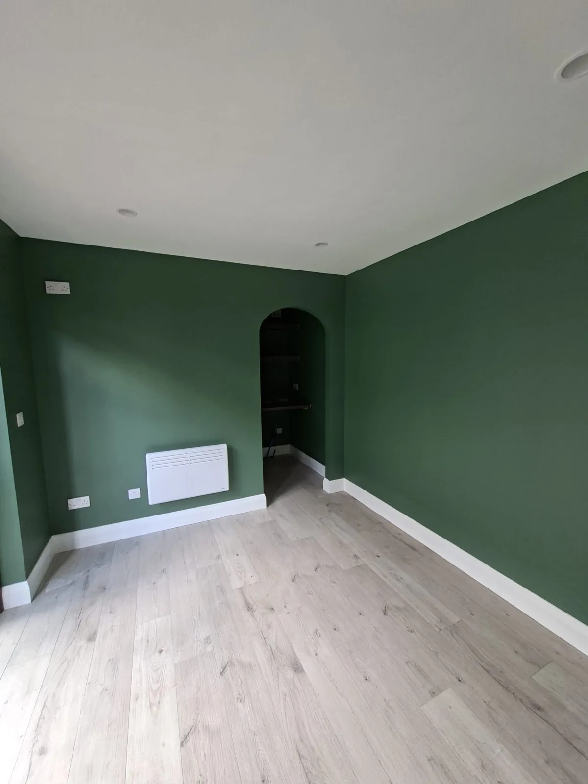 Finished garden room with green walls, pale flooring and arched opening